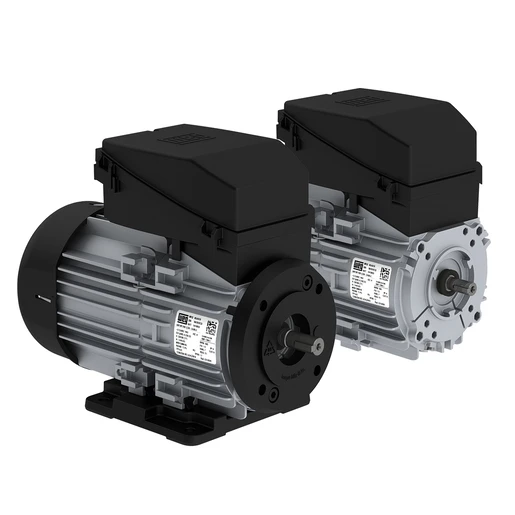Línea W12
